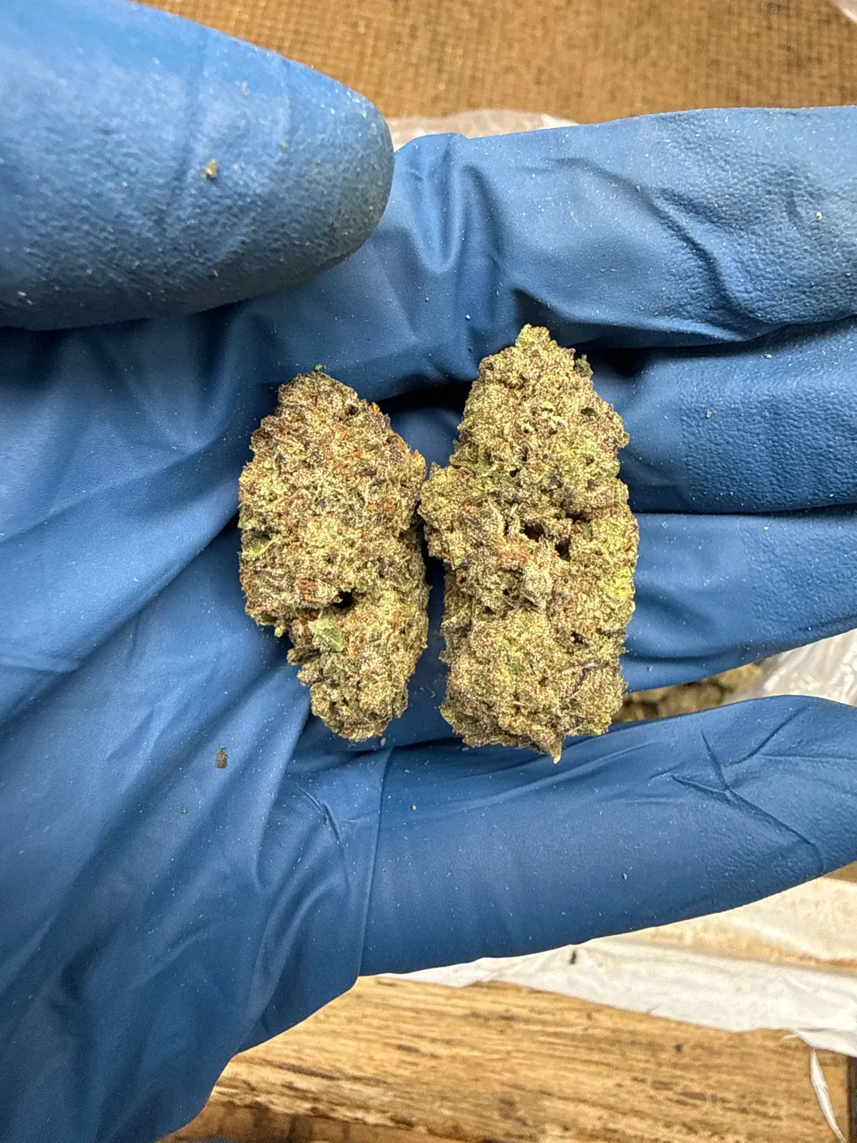 Lemon Cherry Gelato Flower